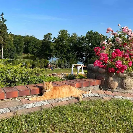Zdunlandia Dom Nad Jeziorem, Jacuzzi, Kort, Basen Дом отдыха Zduny (Starogard)